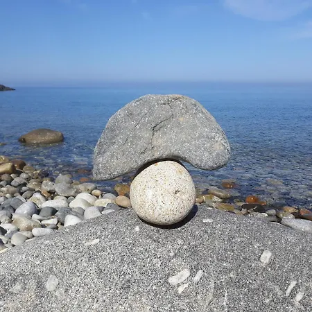 Il Mirto